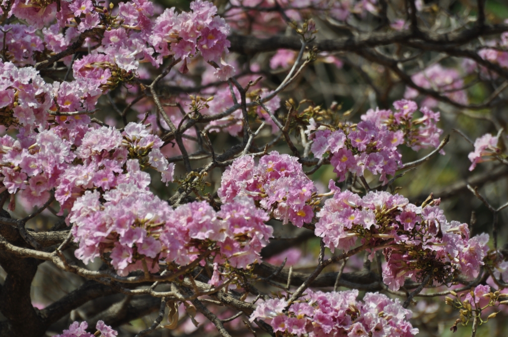 11 - Imagens do CEU.jpg